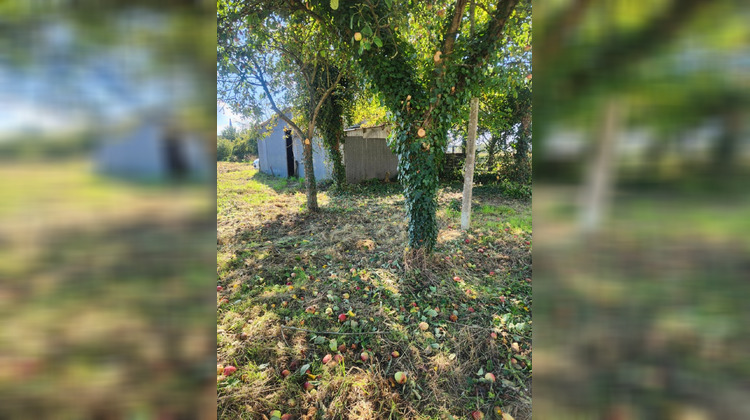 Ma-Cabane - Vente Terrain Trebedan, 1500 m²