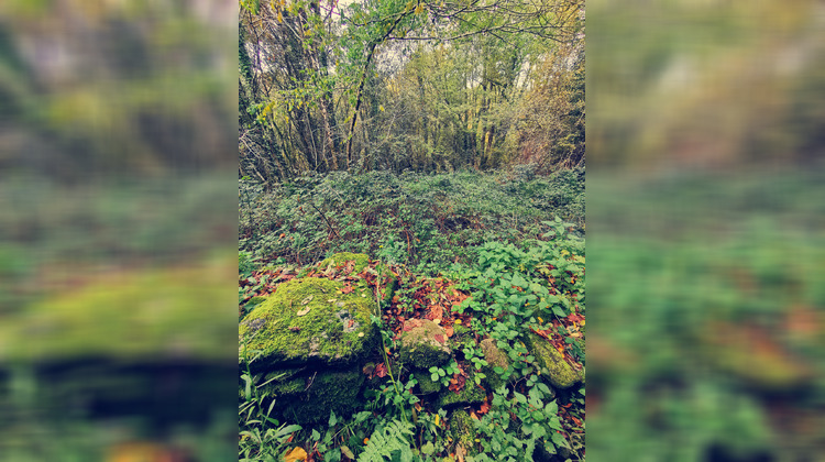 Ma-Cabane - Vente Terrain Treignac, 3586 m²