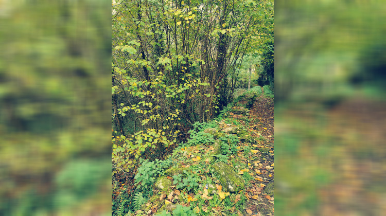 Ma-Cabane - Vente Terrain Treignac, 3586 m²