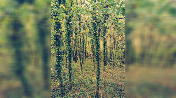 Ma-Cabane - Vente Terrain Treignac, 3586 m²