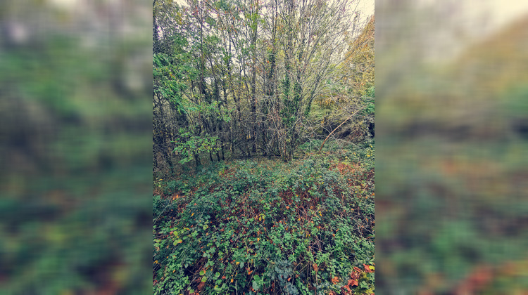 Ma-Cabane - Vente Terrain Treignac, 3586 m²