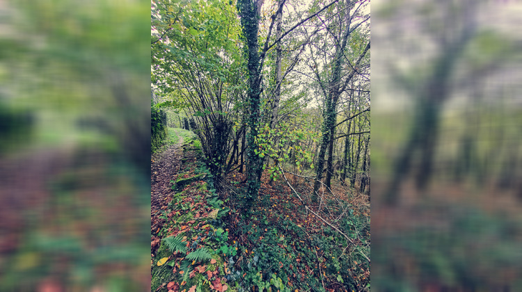 Ma-Cabane - Vente Terrain Treignac, 3586 m²