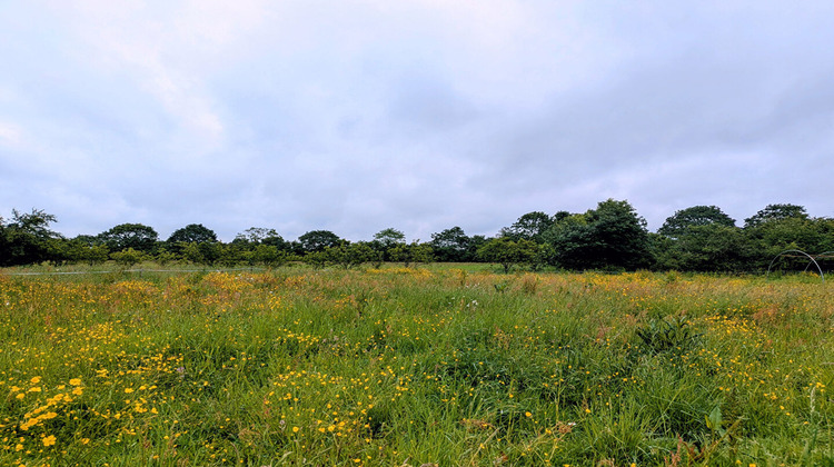 Ma-Cabane - Vente Terrain TREILLIERES, 521 m²
