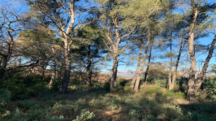 Ma-Cabane - Vente Terrain TRETS, 1515 m²