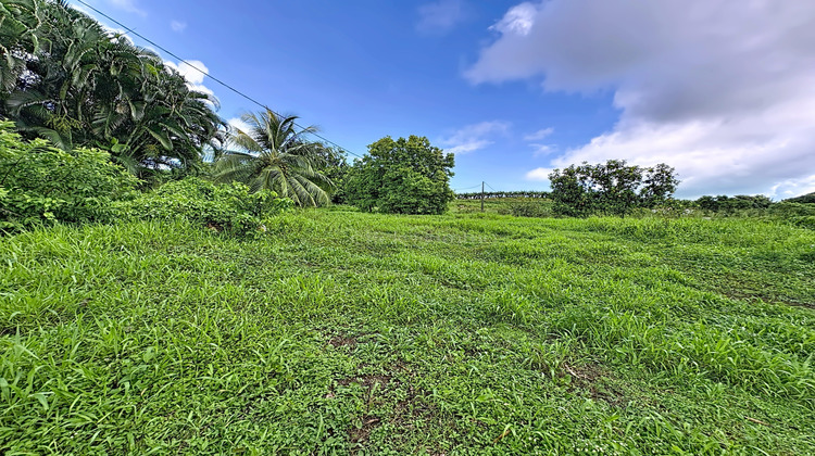 Ma-Cabane - Vente Terrain Trinité, 1194 m²