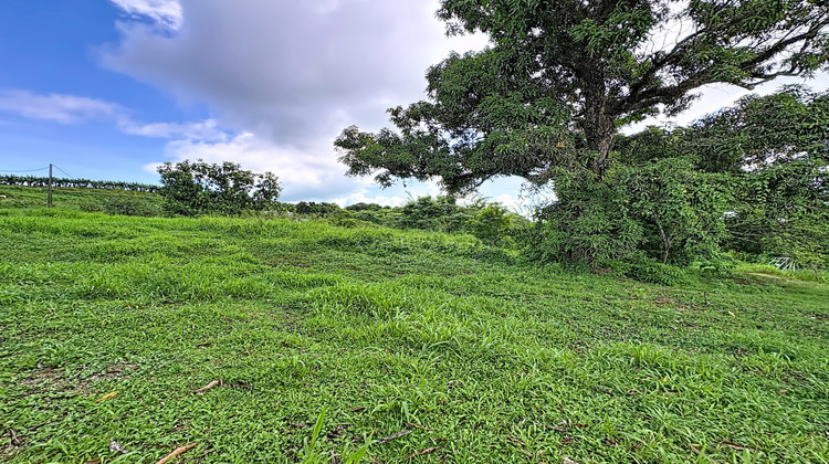Ma-Cabane - Vente Terrain Trinité, 951 m²