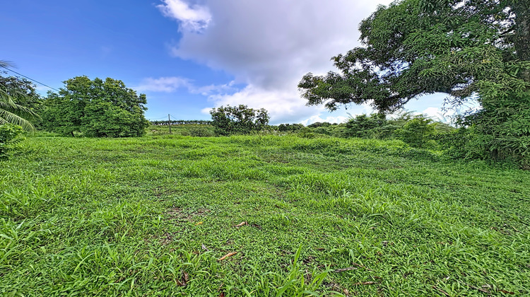 Ma-Cabane - Vente Terrain Trinité, 951 m²