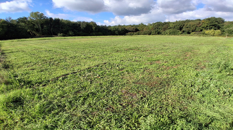 Ma-Cabane - Vente Terrain TRIZAY, 1557 m²