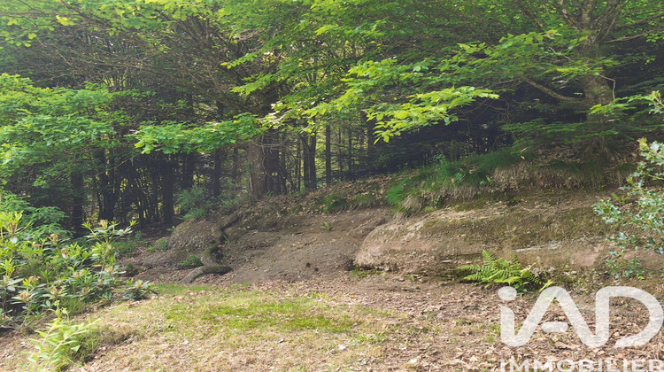 Ma-Cabane - Vente Terrain Troisfontaines, 3714 m²