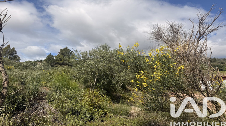 Ma-Cabane - Vente Terrain Tuchan, 910 m²