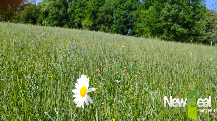 Ma-Cabane - Vente Terrain TULLE, 5060 m²