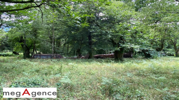 Ma-Cabane - Vente Terrain TULLE, 2355 m²