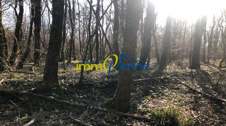 Ma-Cabane - Vente Terrain USSON-DU-POITOU, 56600 m²