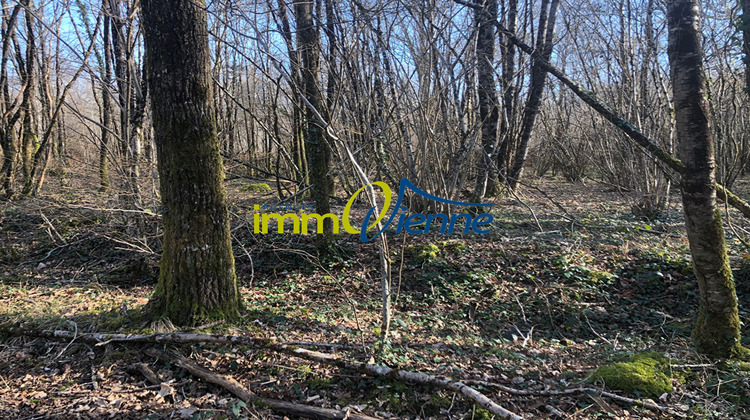 Ma-Cabane - Vente Terrain USSON-DU-POITOU, 56600 m²