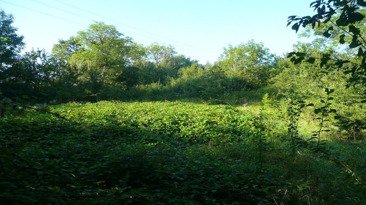 Ma-Cabane - Vente Terrain VAILHOURLES, 1435 m²