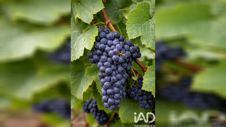 Ma-Cabane - Vente Terrain Vailly-sur-Aisne, 515 m²