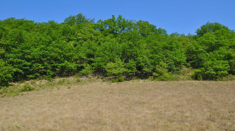 Ma-Cabane - Vente Terrain VAL DE CHALVAGNE, 12283 m²