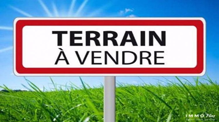 Ma-Cabane - Vente Terrain Valdivienne, 2620 m²