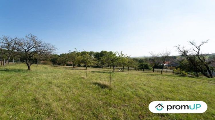 Ma-Cabane - Vente Terrain Valhey, 1990 m²