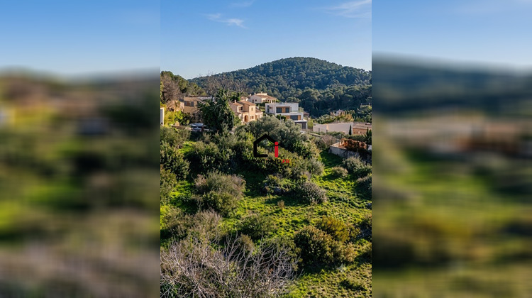 Ma-Cabane - Vente Terrain Vallauris, 0 m²