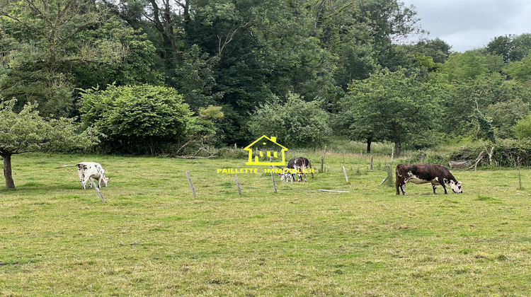 Ma-Cabane - Vente Terrain Vattetot-sur-Mer, 2611 m²