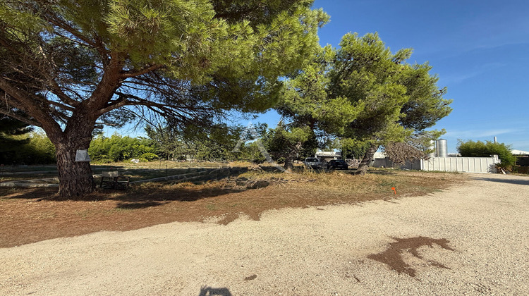 Ma-Cabane - Vente Terrain VAUVERT, 1001 m²
