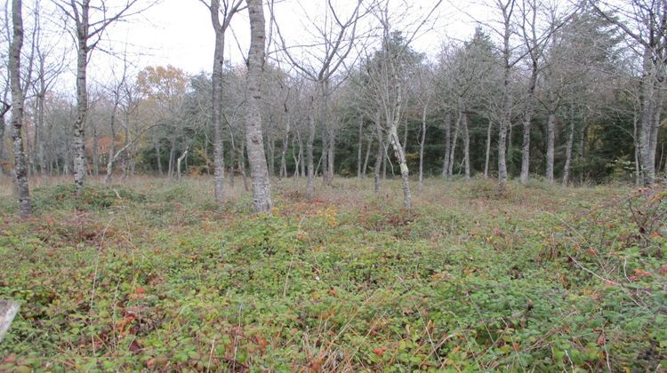 Ma-Cabane - Vente Terrain Vaux, 1100 m²