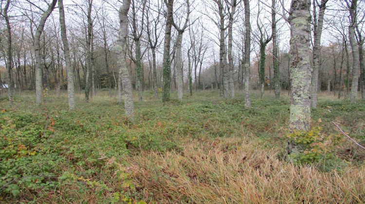 Ma-Cabane - Vente Terrain Vaux, 1100 m²