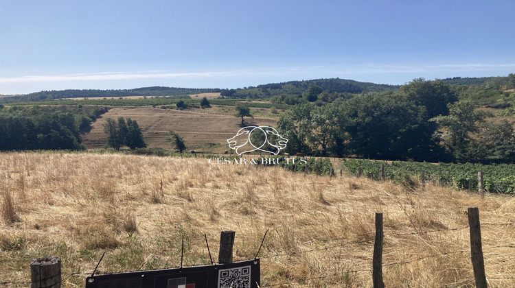 Ma-Cabane - Vente Terrain Vauxrenard, 4320 m²