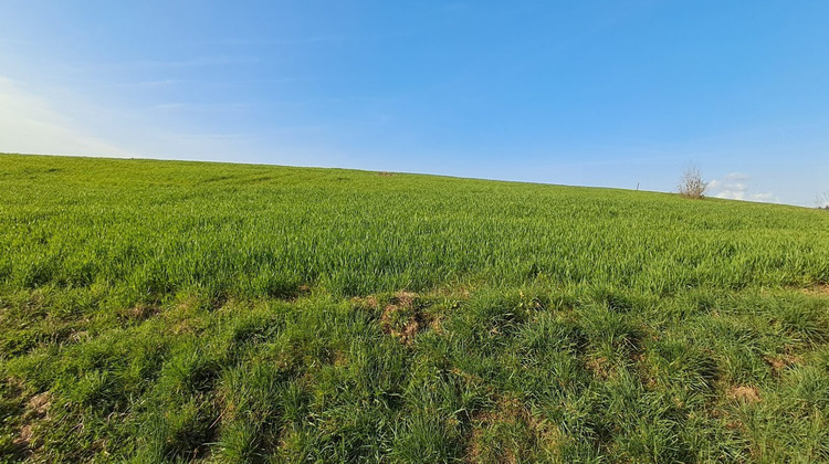 Ma-Cabane - Vente Terrain Vendresse, 692 m²