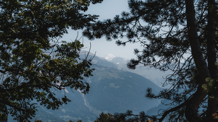 Ma-Cabane - Vente Terrain VERCHAIX, 5272 m²