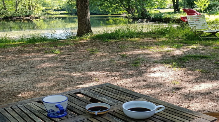 Ma-Cabane - Vente Terrain VERDELOT, 200 m²