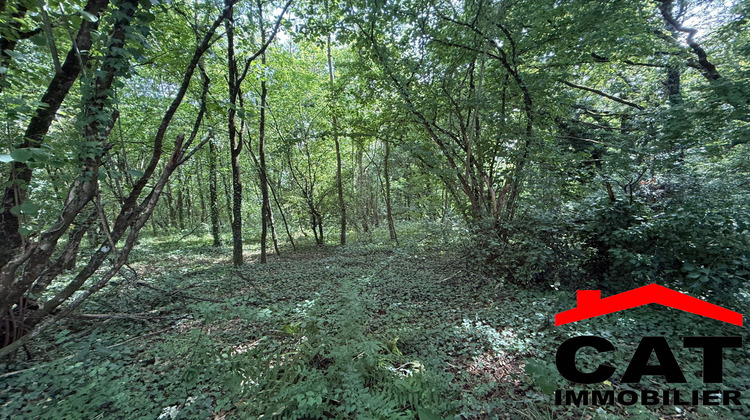 Ma-Cabane - Vente Terrain Vernou-la-Celle-sur-Seine, 3785 m²