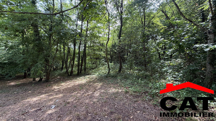 Ma-Cabane - Vente Terrain Vernou-la-Celle-sur-Seine, 3785 m²