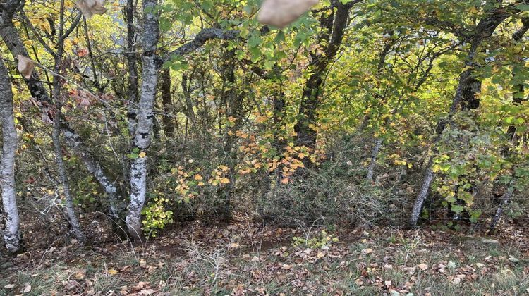 Ma-Cabane - Vente Terrain VERRIERES, 60000 m²