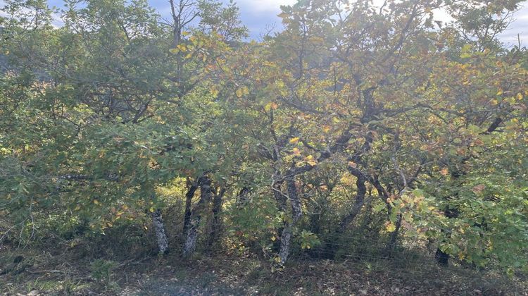 Ma-Cabane - Vente Terrain VERRIERES, 60000 m²