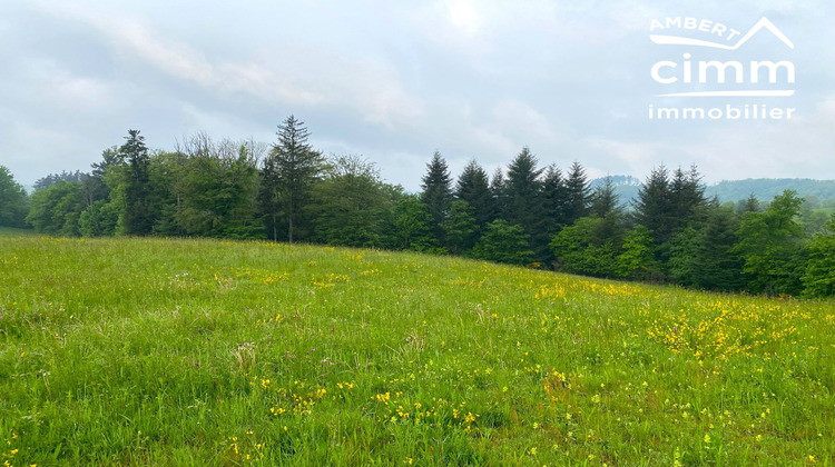 Ma-Cabane - Vente Terrain Vertolaye, 2746 m²