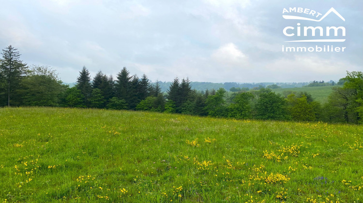 Ma-Cabane - Vente Terrain Vertolaye, 2746 m²