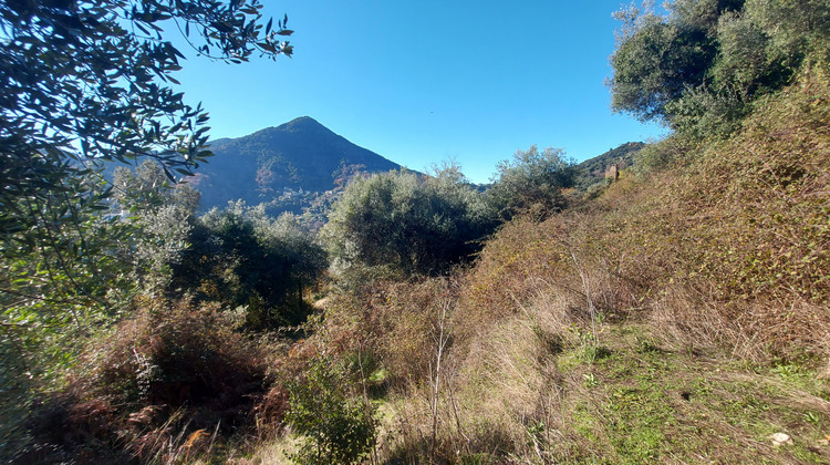 Ma-Cabane - Vente Terrain Vico, 2350 m²