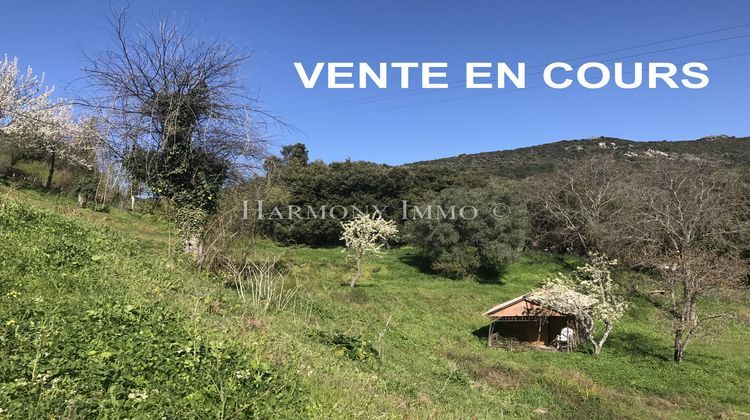 Ma-Cabane - Vente Terrain Vico, 3143 m²