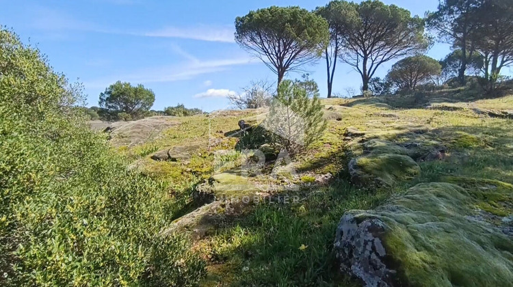 Ma-Cabane - Vente Terrain VIDAUBAN, 3000 m²