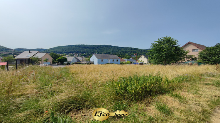 Ma-Cabane - Vente Terrain Vieux-Ferrette, 750 m²