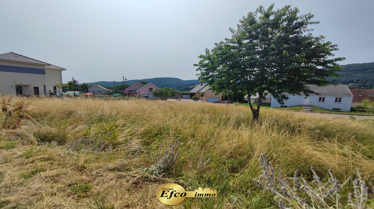 Ma-Cabane - Vente Terrain Vieux-Ferrette, 750 m²