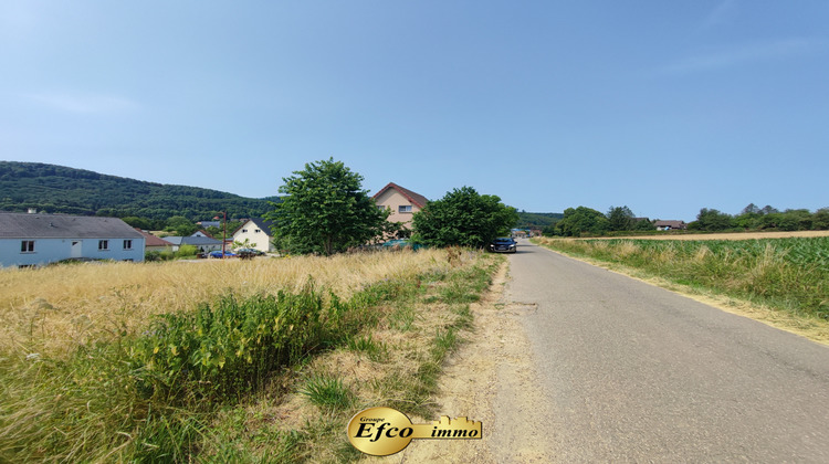 Ma-Cabane - Vente Terrain Vieux-Ferrette, 750 m²