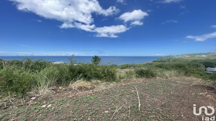 Ma-Cabane - Vente Terrain Vieux-Habitants, 1039 m²