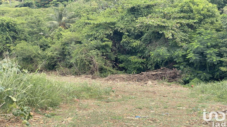 Ma-Cabane - Vente Terrain Vieux-Habitants, 789 m²