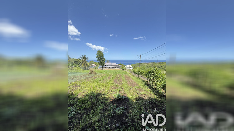 Ma-Cabane - Vente Terrain Vieux-Habitants, 1000 m²