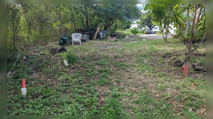 Ma-Cabane - Vente Terrain Vieux-Habitants, 0 m²