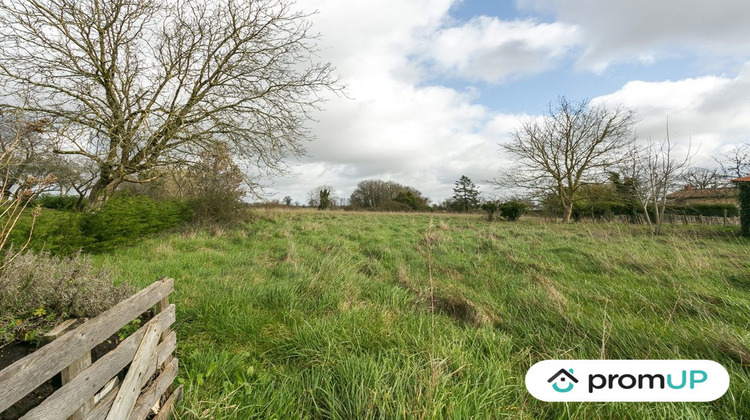 Ma-Cabane - Vente Terrain Vieux-Ruffec, 7200 m²