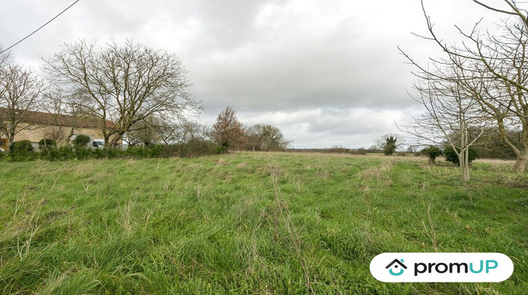 Ma-Cabane - Vente Terrain Vieux-Ruffec, 7200 m²